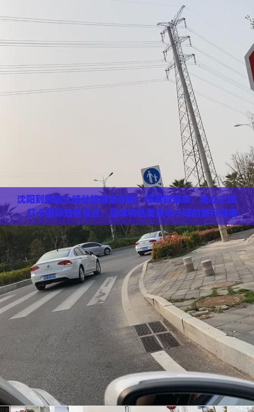 沈阳到恩施大峡谷旅游全攻略：探寻蝴蝶泉、地心之旅，打卡国际知名景点，品味特色美食与小吃的旅行指南