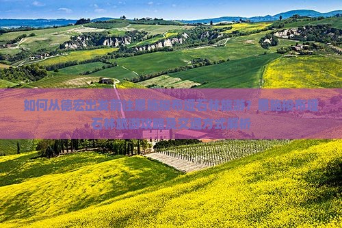 如何从德宏出发前往恩施梭布垭石林旅游？恩施梭布垭石林旅游攻略及交通方式解析