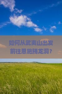 如何从武夷山出发前往恩施腾龙洞？选择哪家旅行社更合适？