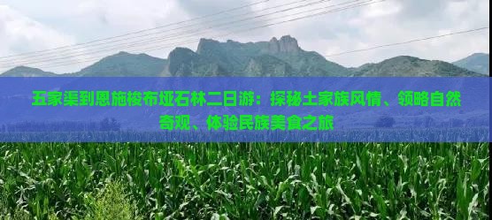 五家渠到恩施梭布垭石林二日游：探秘土家族风情、领略自然奇观、体验民族美食之旅