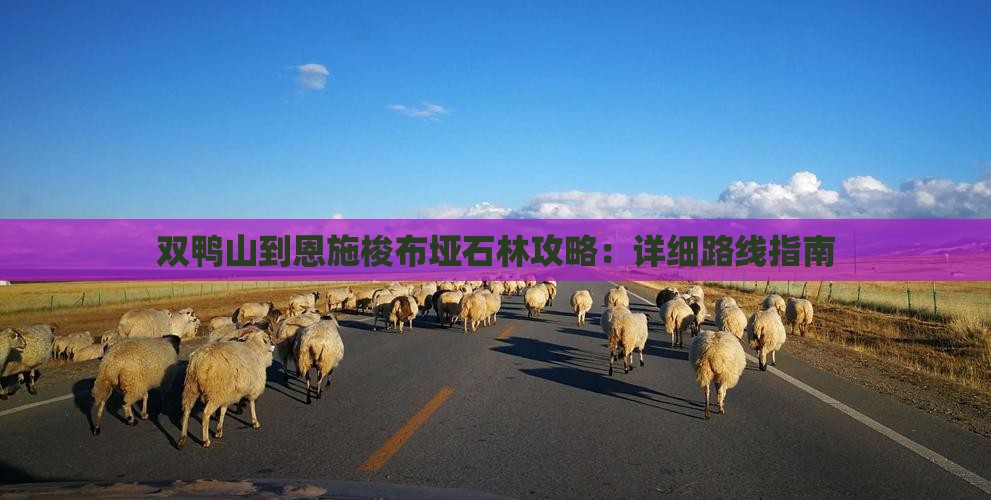 双鸭山到恩施梭布垭石林攻略：详细路线指南