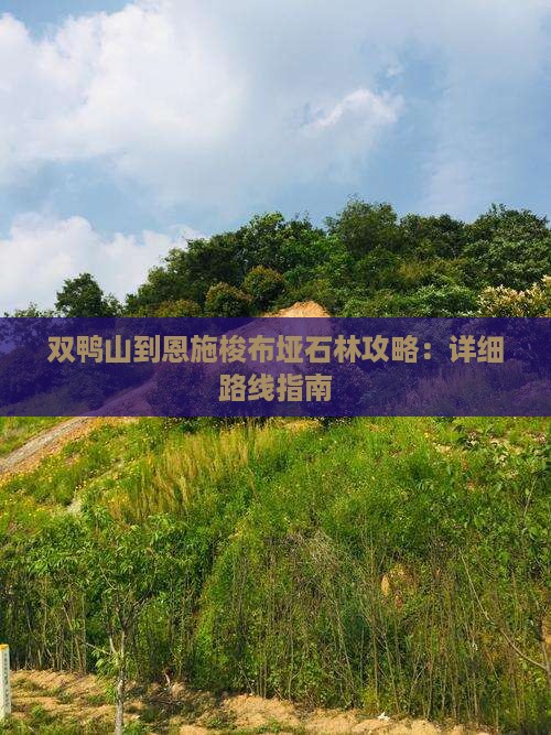 双鸭山到恩施梭布垭石林攻略：详细路线指南