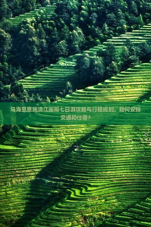 乌海至恩施清江画廊七日游攻略与行程规划，如何安排交通和住宿？