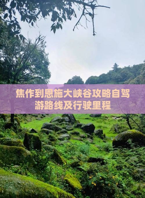 焦作到恩施大峡谷攻略自驾游路线及行驶里程
