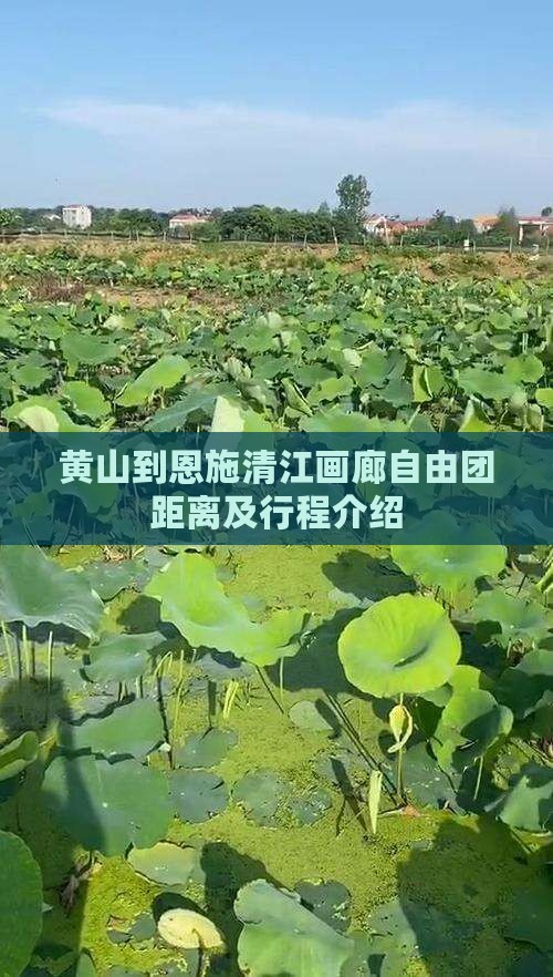 黄山到恩施清江画廊自由团距离及行程介绍