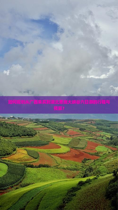 如何规划从广西来宾到湖北恩施大峡谷六日游的行程与预算？