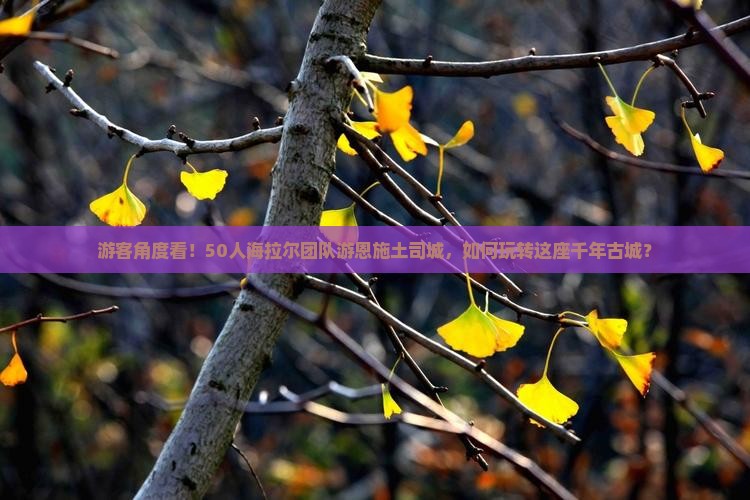 游客角度看！50人海拉尔团队游恩施土司城，如何玩转这座千年古城？