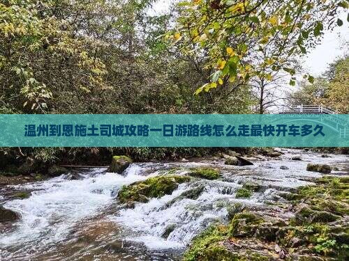 温州到恩施土司城攻略一日游路线怎么走最快开车多久