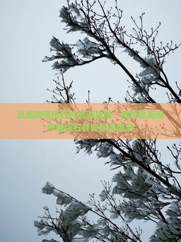 恩施梭布垭石林旅游攻略：推荐恩施梭布景区石林美景深度游
