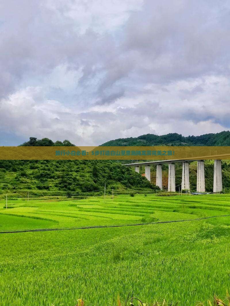 旅行小白必看：5步打造白山至恩施腾龙洞完美之旅！