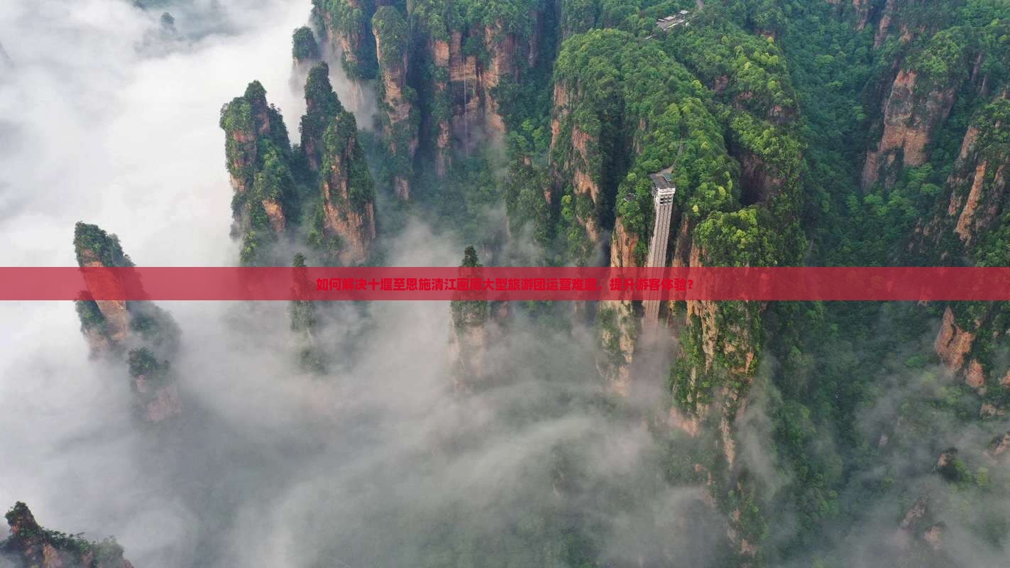 如何解决十堰至恩施清江画廊大型旅游团运营难题，提升游客体验？