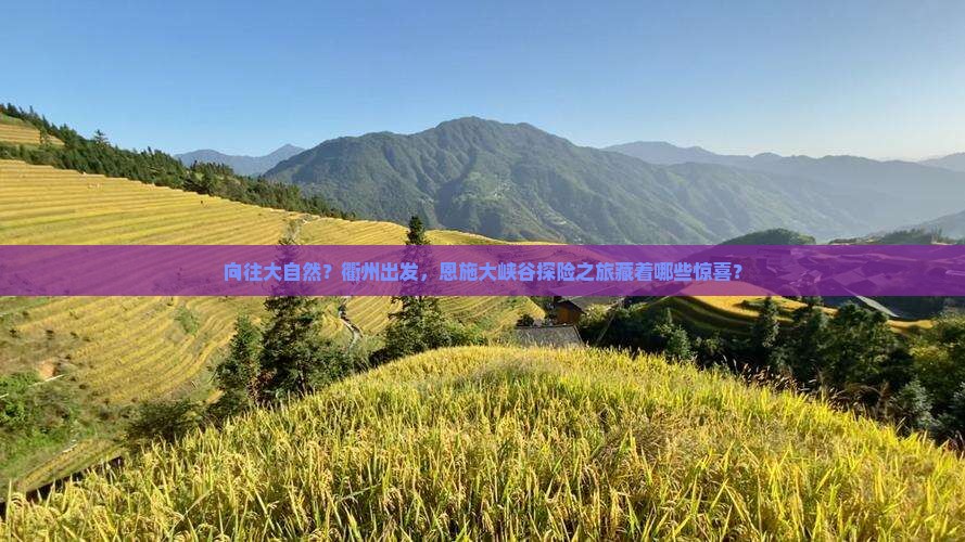 向往大自然？衢州出发，恩施大峡谷探险之旅藏着哪些惊喜？