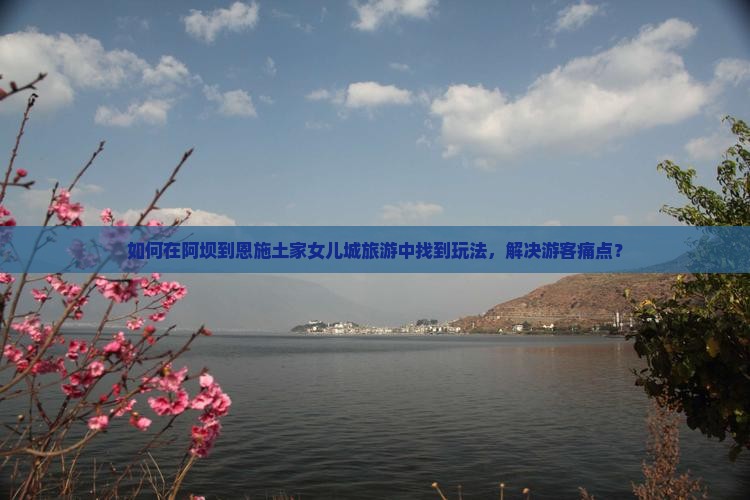 如何在阿坝到恩施土家女儿城旅游中找到玩法，解决游客痛点？