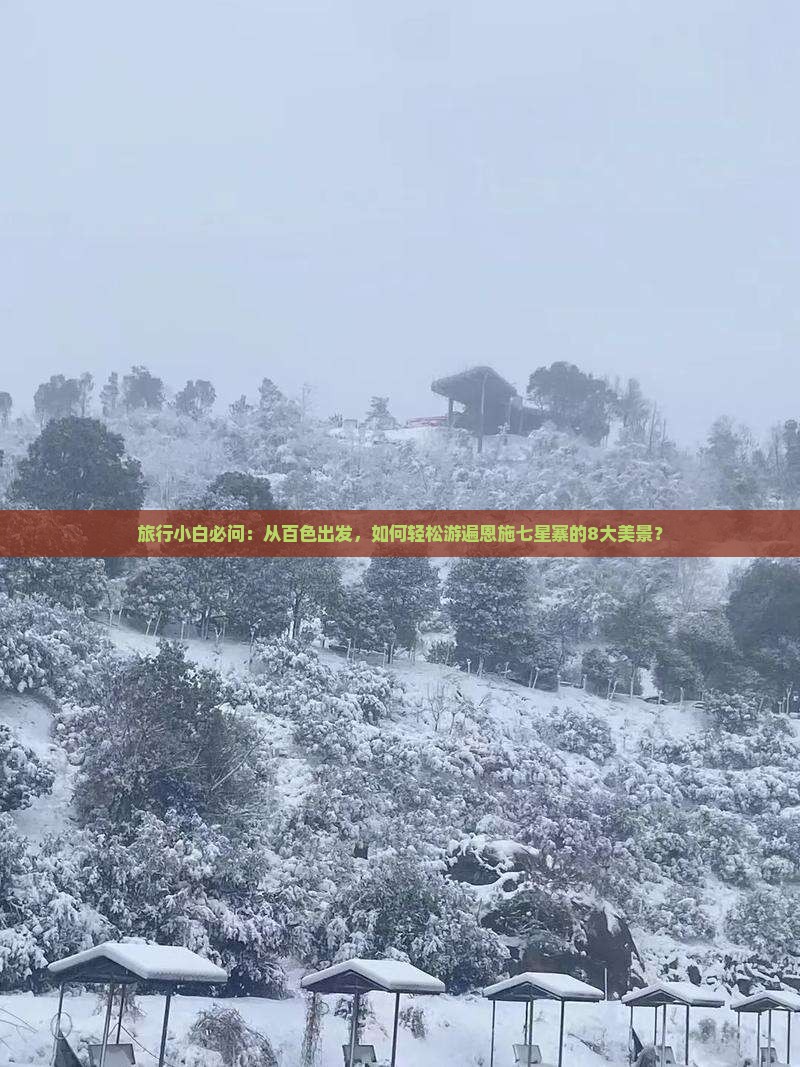 旅行小白必问：从百色出发，如何轻松游遍恩施七星寨的8大美景？