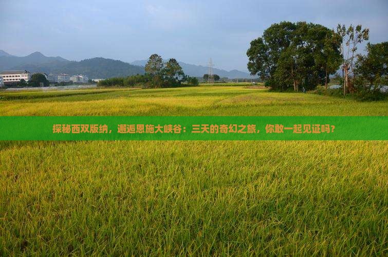 探秘西双版纳，邂逅恩施大峡谷：三天的奇幻之旅，你敢一起见证吗？