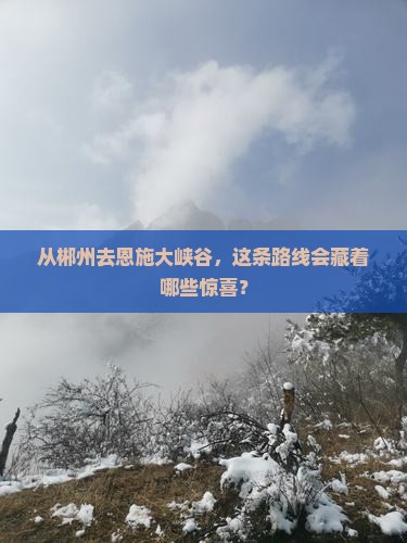 从郴州去恩施大峡谷，这条路线会藏着哪些惊喜？