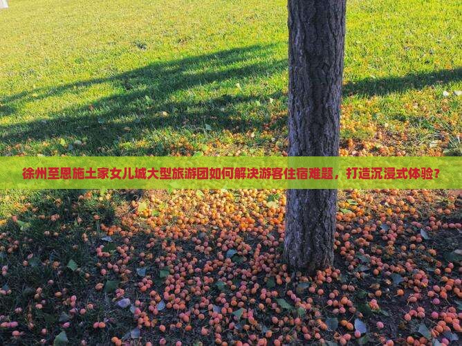 徐州至恩施土家女儿城大型旅游团如何解决游客住宿难题，打造沉浸式体验？