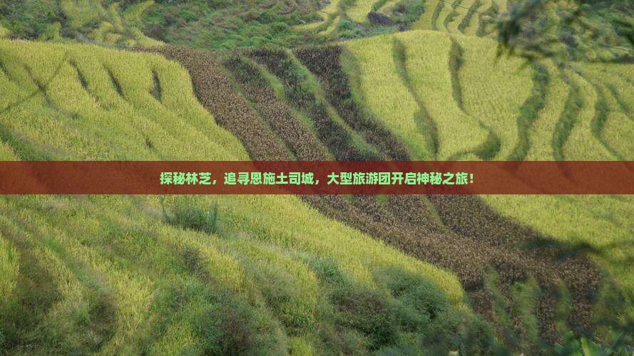探秘林芝，追寻恩施土司城，大型旅游团开启神秘之旅！