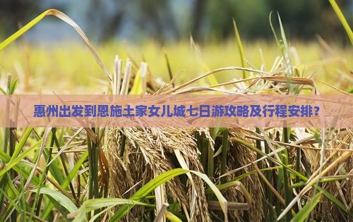 惠州出发到恩施土家女儿城七日游攻略及行程安排？
