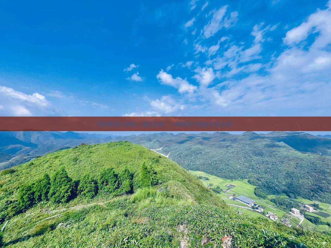 探秘恩施土司城，通辽出发，一场跨越千里的文化之旅？
