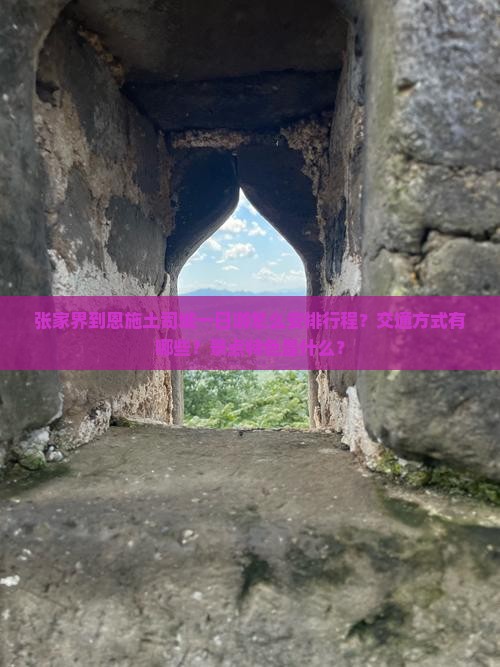 张家界到恩施土司城一日游怎么安排行程？交通方式有哪些？景点特色是什么？