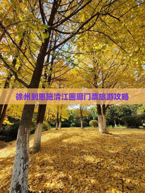 徐州到恩施清江画廊门票旅游攻略