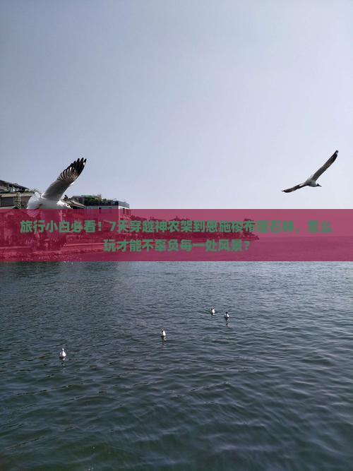 旅行小白必看！7天穿越神农架到恩施梭布垭石林，怎么玩才能不辜负每一处风景？