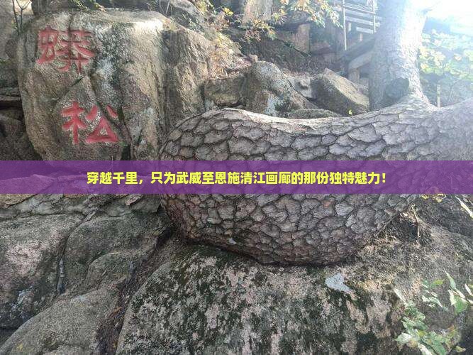 穿越千里，只为武威至恩施清江画廊的那份独特魅力！