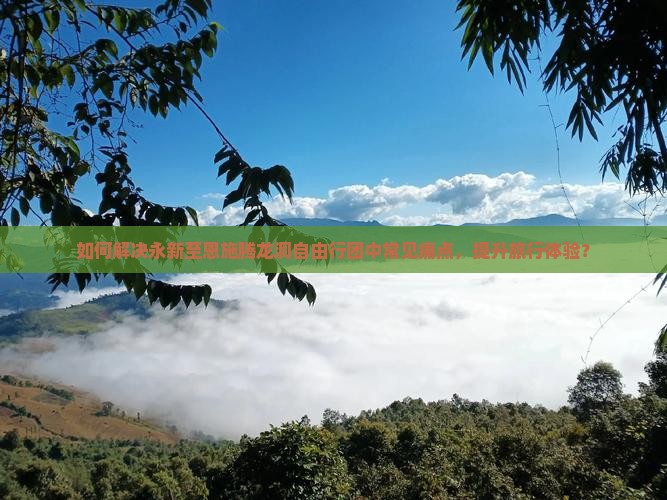 如何解决永新至恩施腾龙洞自由行团中常见痛点，提升旅行体验？