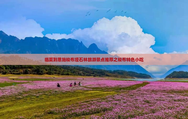 临夏到恩施梭布垭石林旅游景点推荐之梭布特色小吃