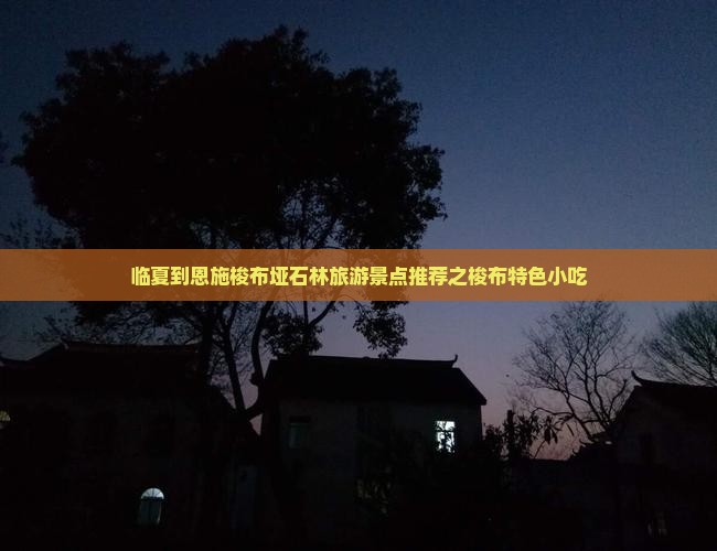 临夏到恩施梭布垭石林旅游景点推荐之梭布特色小吃