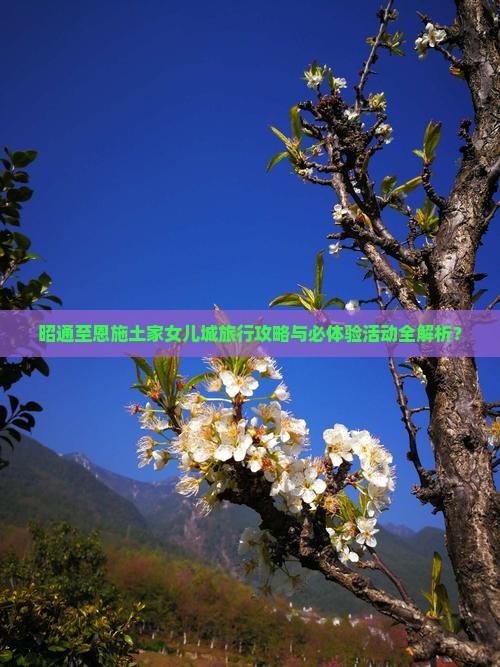 昭通至恩施土家女儿城旅行攻略与必体验活动全解析？