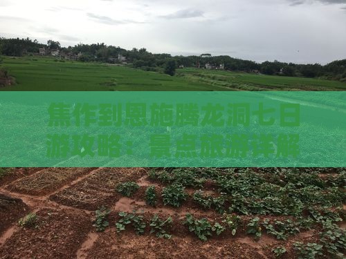 焦作去恩施腾龙洞七日游