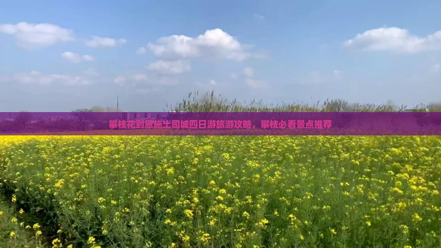 攀枝花去恩施土司城四日游