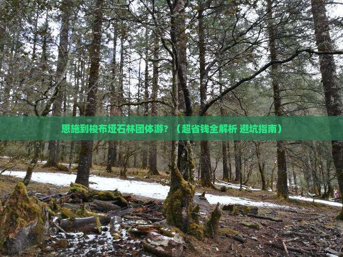 恩施到恩施梭布垭石林团体旅游
