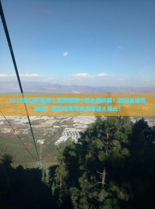 营口到恩施七星寨旅游小吃