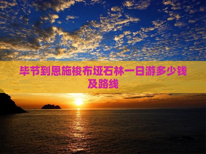 毕节到恩施梭布垭石林一日