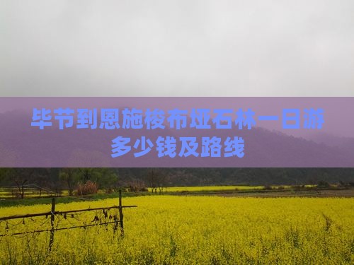 毕节到恩施梭布垭石林一日
