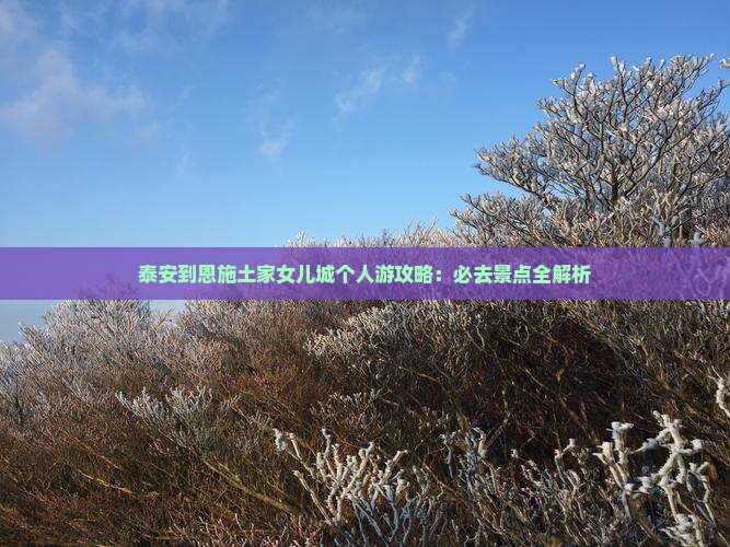 泰安到恩施土家女儿城个人游