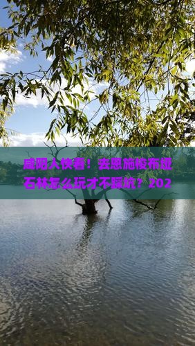咸阳去恩施梭布垭石林旅游