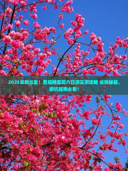 阜新到恩施腾龙洞六日游