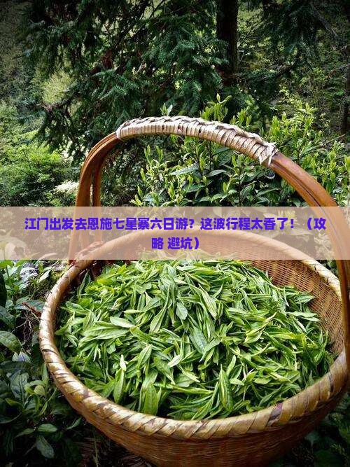 江门去恩施七星寨六日游