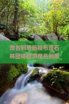 茂名到恩施梭布垭石林团体旅游
