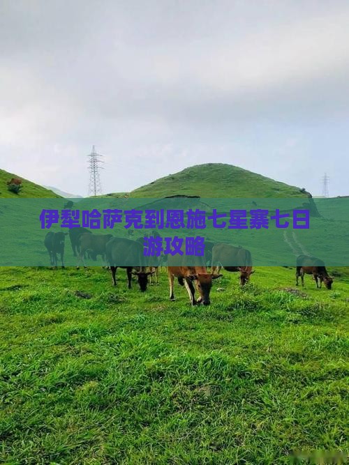 伊犁哈萨克到恩施七星寨七日游