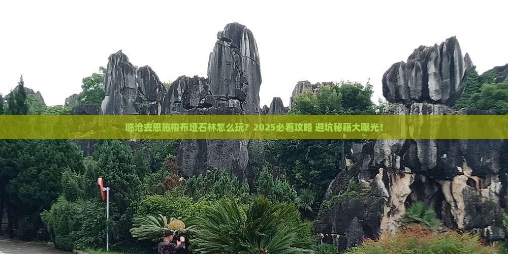 临沧去恩施梭布垭石林攻略