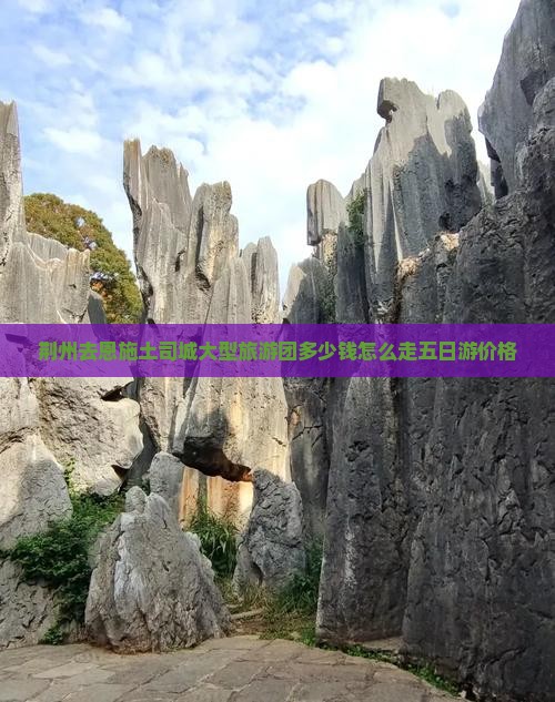 荆州去恩施土司城大型旅游团