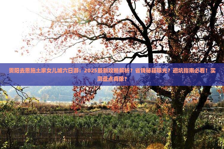 贵阳去恩施土家女儿城六日游