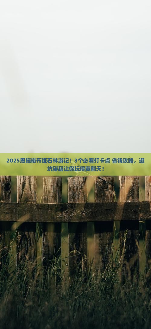 中秋节去恩施梭布垭石林旅游
