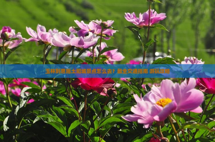 玉林到恩施土司城景点