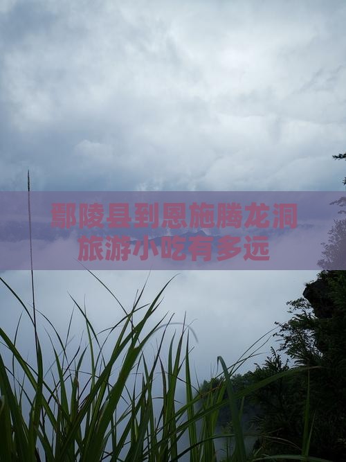 鄢陵县到恩施腾龙洞旅游小吃